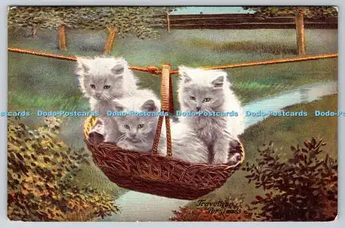 R759518 Travelling Perslans Three Kittens in the Basket Raphael Tuck and Sons An