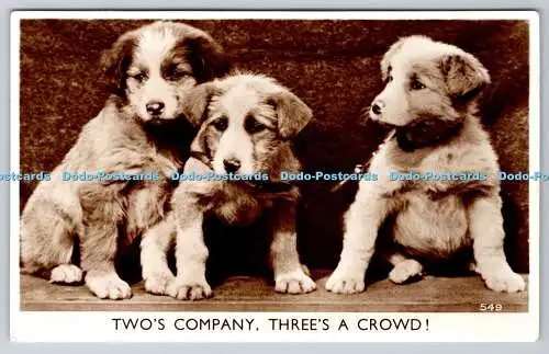 R759521 Two Company Three a Crowd Three Puppies Bamforth and Co Ltd RP