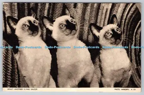 R759669 What Another Flying Saucer Cats Jarrold and Sons Ltd Crome Serie Spiegel