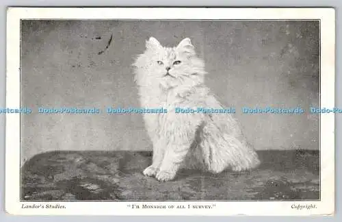 R759691 I m Monarch of All I Survey Cat Landor Studies 1904