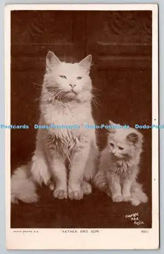 R764483 Vater und Sohn Katzen Der schnelle Fotodruck London M und A Austin