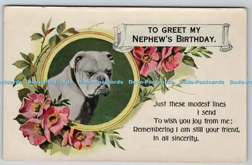 R759889 To Greet My Nephew Birthday Dog Series No 331 R