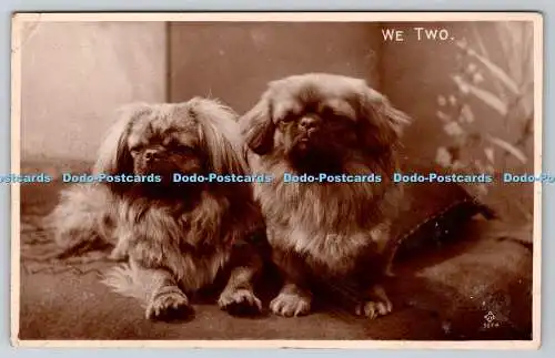 R759914 We Two Dogs Valentine RP 1930