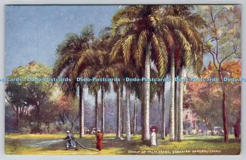 R764625 Kairoer Palmengruppe Esbekieh Garten Malerische Ägypten Tuck Oilette