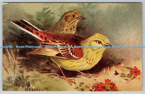 R763022 Yellow Hammer Bird R S Art Press Lansdowne Series Roland Green