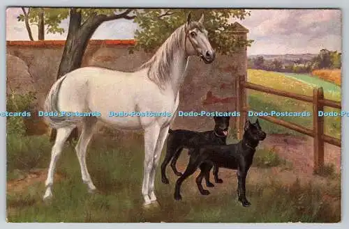 R763131 White Horse and Two Black Dogs T S N Serie 1853