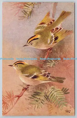 R764915 Goldcrest Bird R S Serie