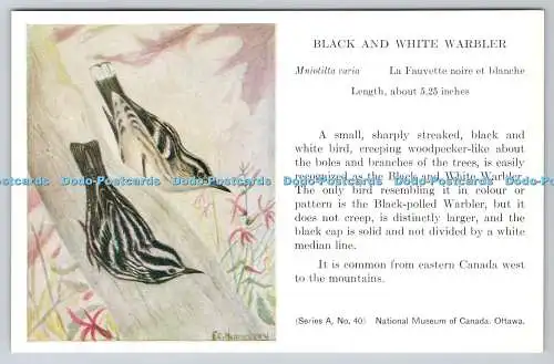 R763254 Ottawa National Museum of Canada Black and White Warbler Birds Series A