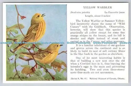 R763255 Ottawa National Museum of Canada Yellow Warbler Bird Series A No 41 Alla