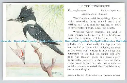 R763260 Ottawa National Museum of Canada Belted Kingfisher Series A No 21 F C He