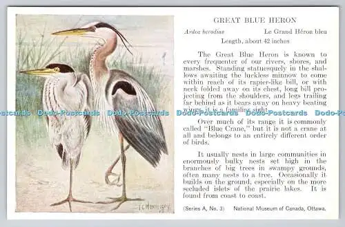 R763262 Ottawa National Museum of Canada Great Blue Heron Serie A Nr 3 F C Henn