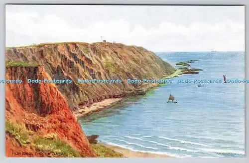 R763334 Filey Brigg From The Cliffs J Salmon Sevenoaks England A R Quinton