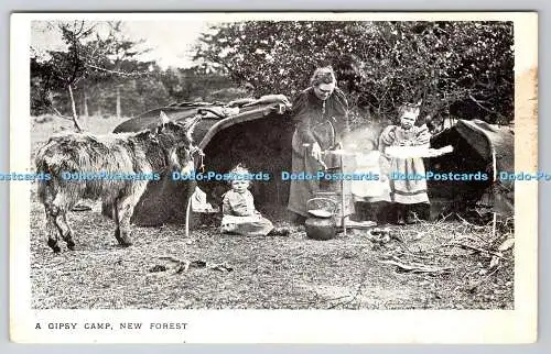 R763336 New Forest A Gipsy Camp Short Publications Pickwick Corsham Wilts Mike W