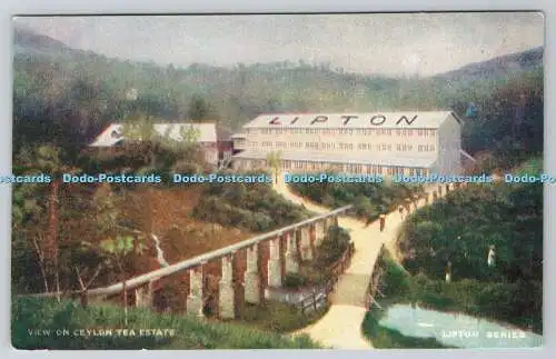 R763639 Blick auf Ceylon Tea Estate Photochrom London U S A Lipton Serie