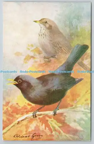 R765459 Blackbird Bird R S Art Press R S Series Roland Green