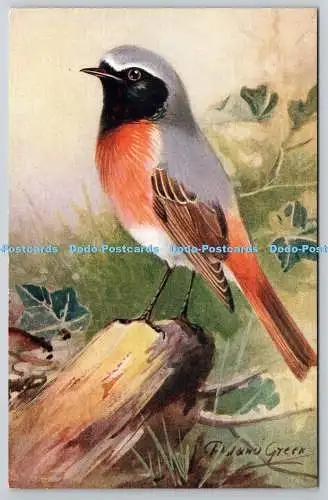 R765460 Redstart Bird R S Art Press R S Series Roland Green