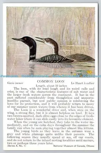 R765551 Ottawa National Museum of Canada Common Loon Bird Serie A Nr. 1