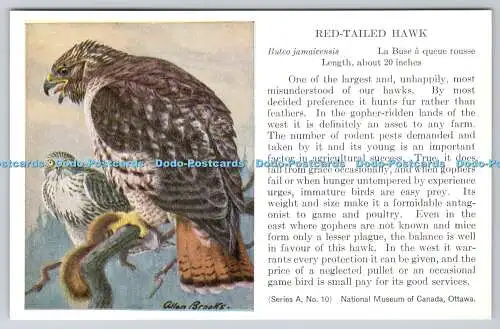 R765554 Ottawa National Museum of Canada Red Tailed Hawk Bird Series A No 10 All