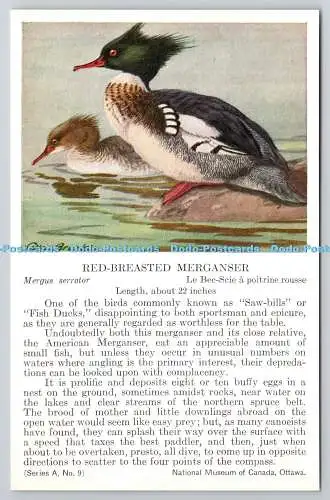 R765555 Ottawa National Museum of Canada Red Breasted Merganser Bird Series A No