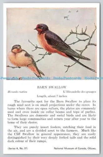 R765569 Ottawa National Museum of Canada Barn Swallow Serie A Nr 27 Allan Brook