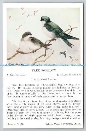 R765570 Ottawa National Museum of Canada Tree Swallow Bird Sereis A No 26 Allan