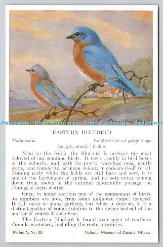 R765571 Ottawa National Museum of Canada Eastern Bluebird Serie A Nr 35 Allan B