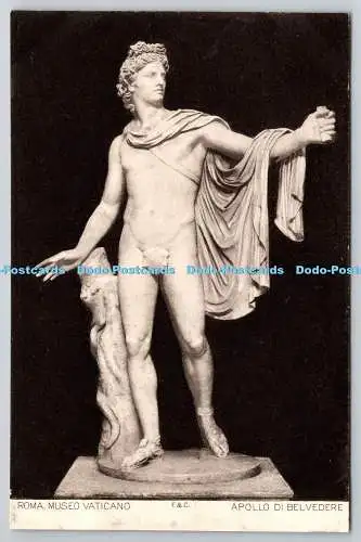 R765679 Roma Museo Vaticano Apollo di Belvedere F und C