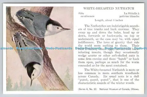 R765854 Ottawa National Museum of Canada White Breasted Nuthatch Bird Series A N