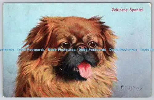 R764208 Pekinese Spaniel Hund B B London Serie Nr E 32