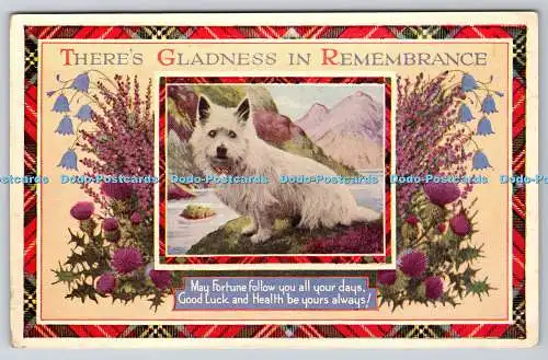 R764213 There Gladness in Remembrance White Dog J B White Dundee PM Dunfermline