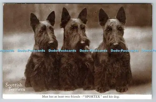 R764246 Scottish Terrier Hunde Mann hat mindestens zwei Freunde Sportex und seinen Hund