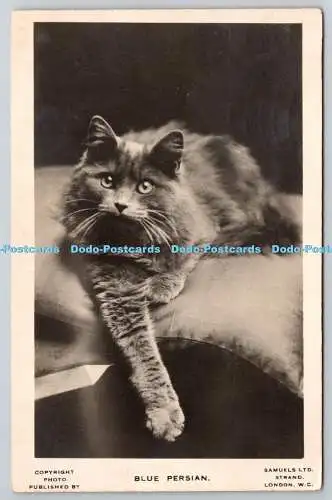 R765923 Blue Persian Samuels Strand London 1931