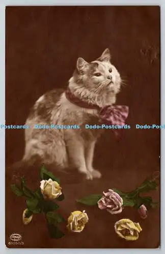 R765925 Katze und Blumen 1914 Postkarte