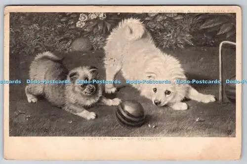 R764315 A Little Game of Croquet Dogs C W Faulkner London 1903