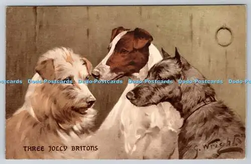 R764371 Three Jolly Britons Dogs E W Savory Bristol A Clifton Bromogravure