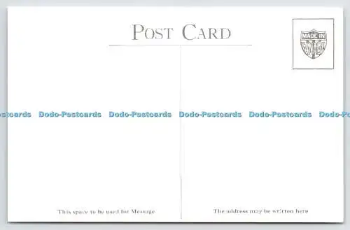 R766077 Sharp tailed Grouse Prairie Chicken National Museum of Canada Serie A N