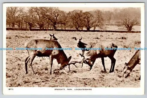 R767790 Leicestershire Bradgate Park A W Holmes Leicester