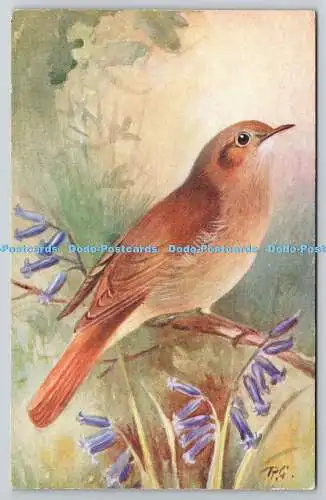 R766579 Nightingale Daulias Liscinia R S Kunstpresse