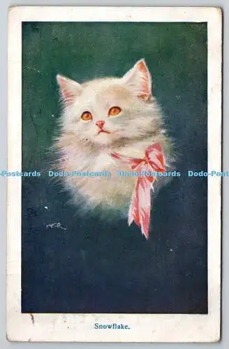 R766606 Snowflake Cat C W Faulkner and Co Ltd Serie 1637 1919