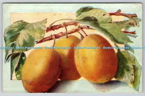 R767866 The Plum Chivers Fruit Gowers and Marmelade Manufacturers Histon Cambridge