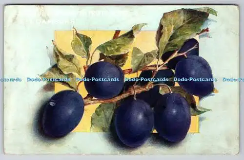 R767870 The Plum Chivers Fruit Gowers and Marmelade Manufacturers Histon Cambridge
