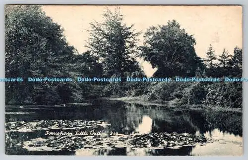 R767899 Frensham Little Pond R Stuart G E Langrish 1906