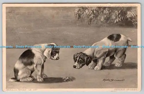 R769524 Hullo What is It Two Dogs S Hildesheimer and Co Series No 5237 Maude Scr