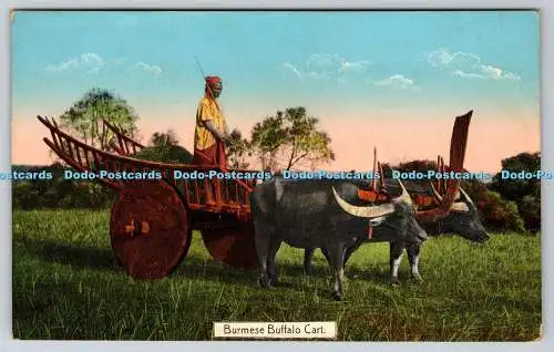 R769568 Burmese Buffalo Cart D Ahuja No 29