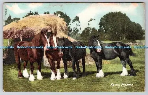 R769637 Bauernhof Pferde Hartmann Postkarte