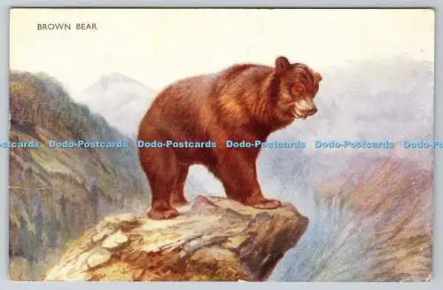 R769643 Brown Bear J Salmon Ltd Postkarte