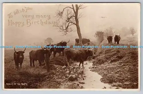 R769657 Nobles of the North Photochrom Co Ltd