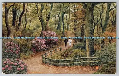 R767298 Colwyn Bay In The Woods J Salmon Sevenoaks England A R Quinton