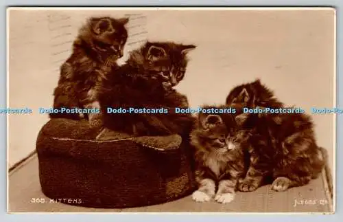 R768149 Kittens Judges 368 PM Weston Super Mare Som 1935