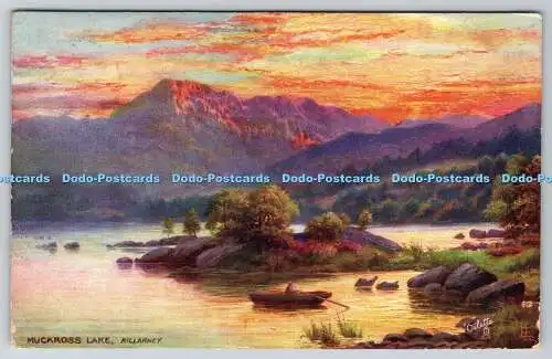 R768174 Killarney Muckross Lake Tuck Oilette Serie II 7260 E Longstaffe PM Hyth